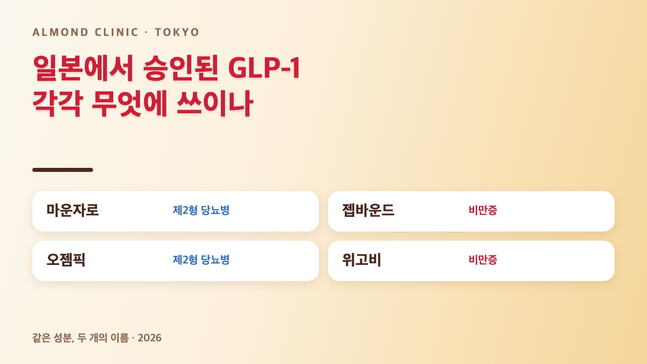 일본에서 승인된 GLP-1: 마운자로와 오젬픽은 제2형 당뇨병, 젭바운드와 위고비는 비만증