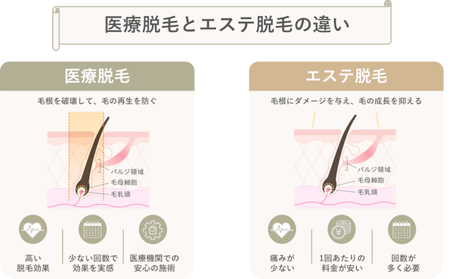 医療脱毛とエステ脱毛　違い