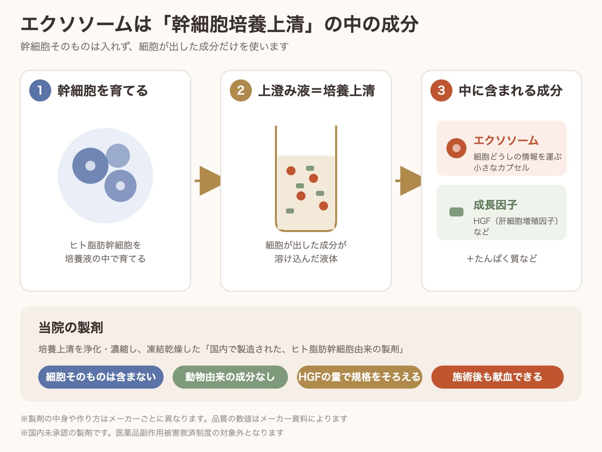 エクソソームは幹細胞培養上清に含まれる成分。幹細胞の培養から、エクソソームと成長因子（HGF）ができるまでと、当院の製剤の特徴