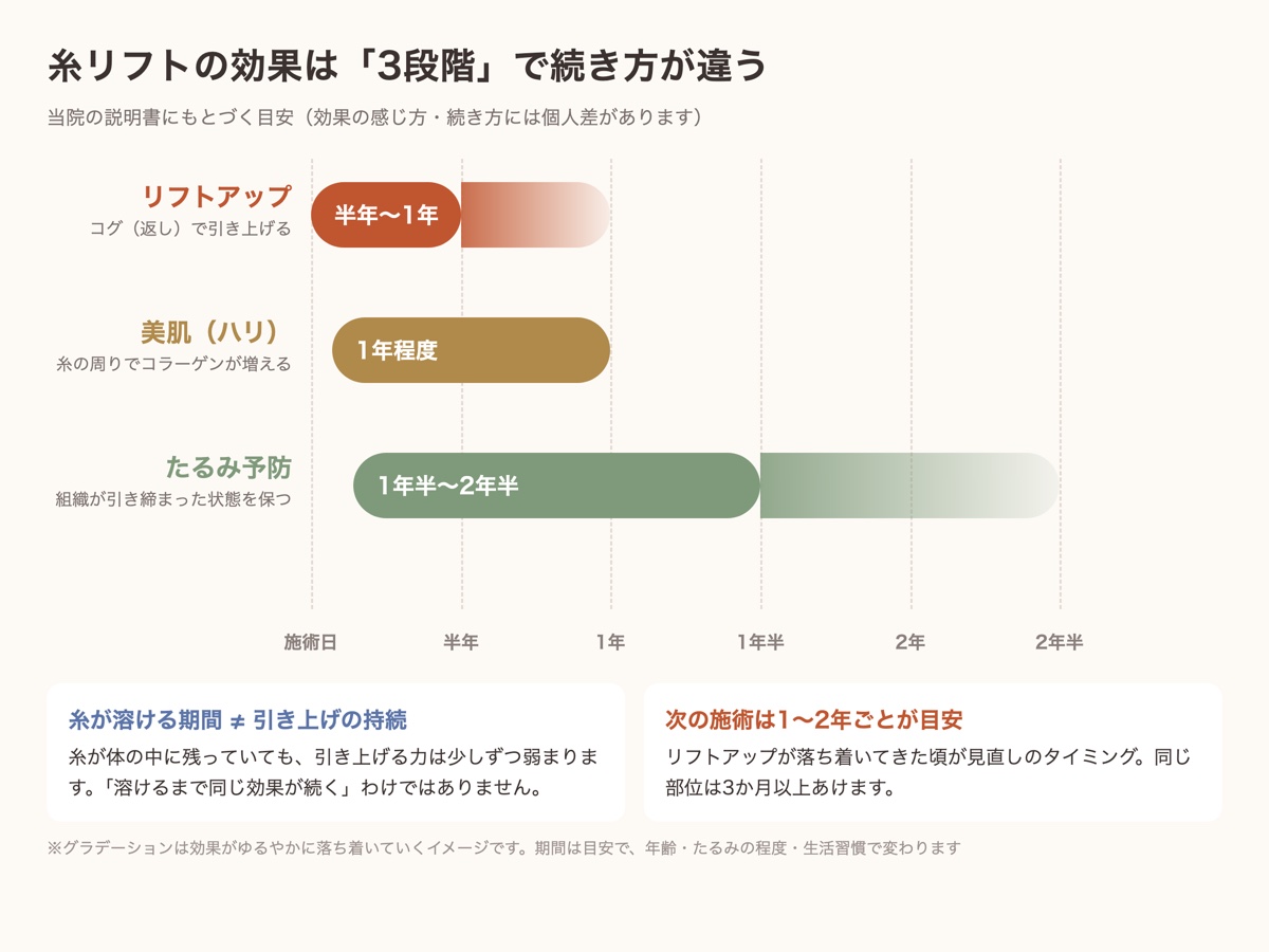 糸リフトの効果の3段階の持続目安（リフトアップ半年〜1年・美肌1年・たるみ予防1年半〜2年半）