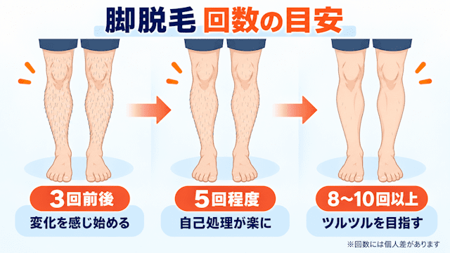 メンズ脚脱毛・すね毛脱毛の必要回数の目安