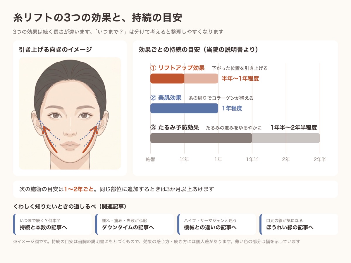 糸リフトの3つの効果と持続の目安。リフトアップ半年〜1年程度、美肌1年程度、たるみ予防1年半〜2年半程度
