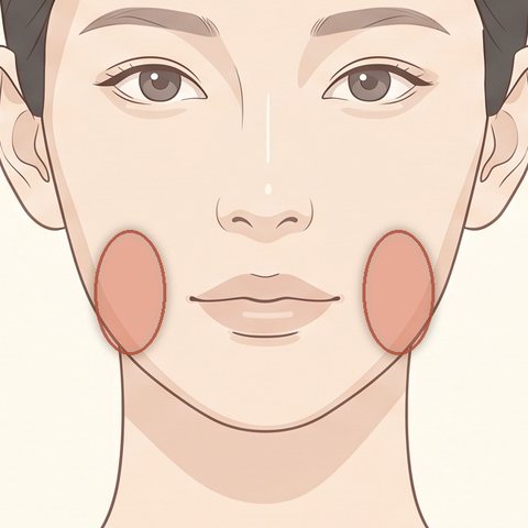 エラのボトックス注射の部位イラスト